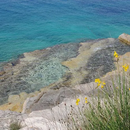 Branka * 프레멘투라