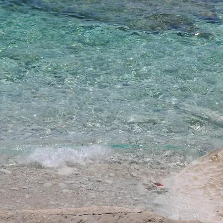 Апартаменты Branka Премантура